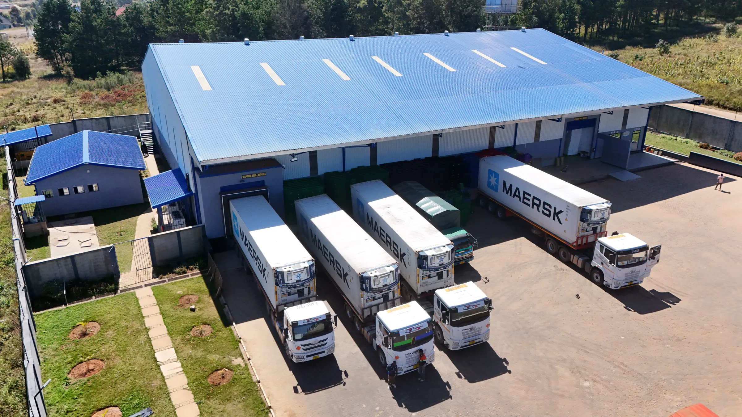 Aerial view of our packhouse with refrigerated trucks at the loading bays